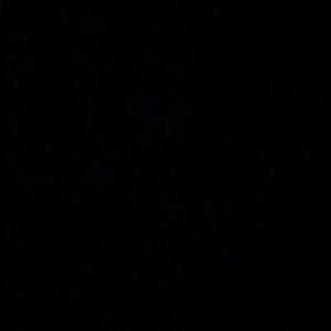 Meet your Posher, Alexander